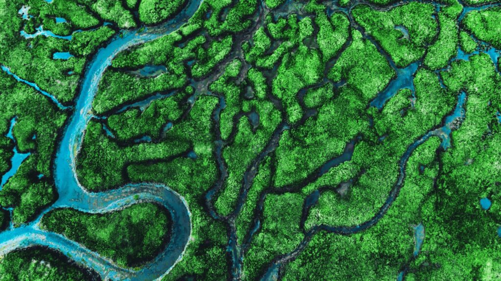 Looking at river landscape from above.